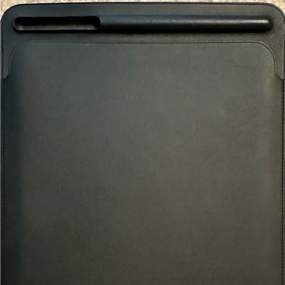 Apple iPad Sleeve